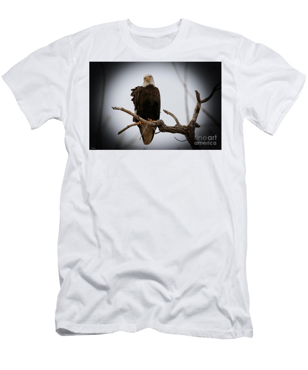 Eagles T-Shirt featuring the photograph Contemplating by Veronica Batterson