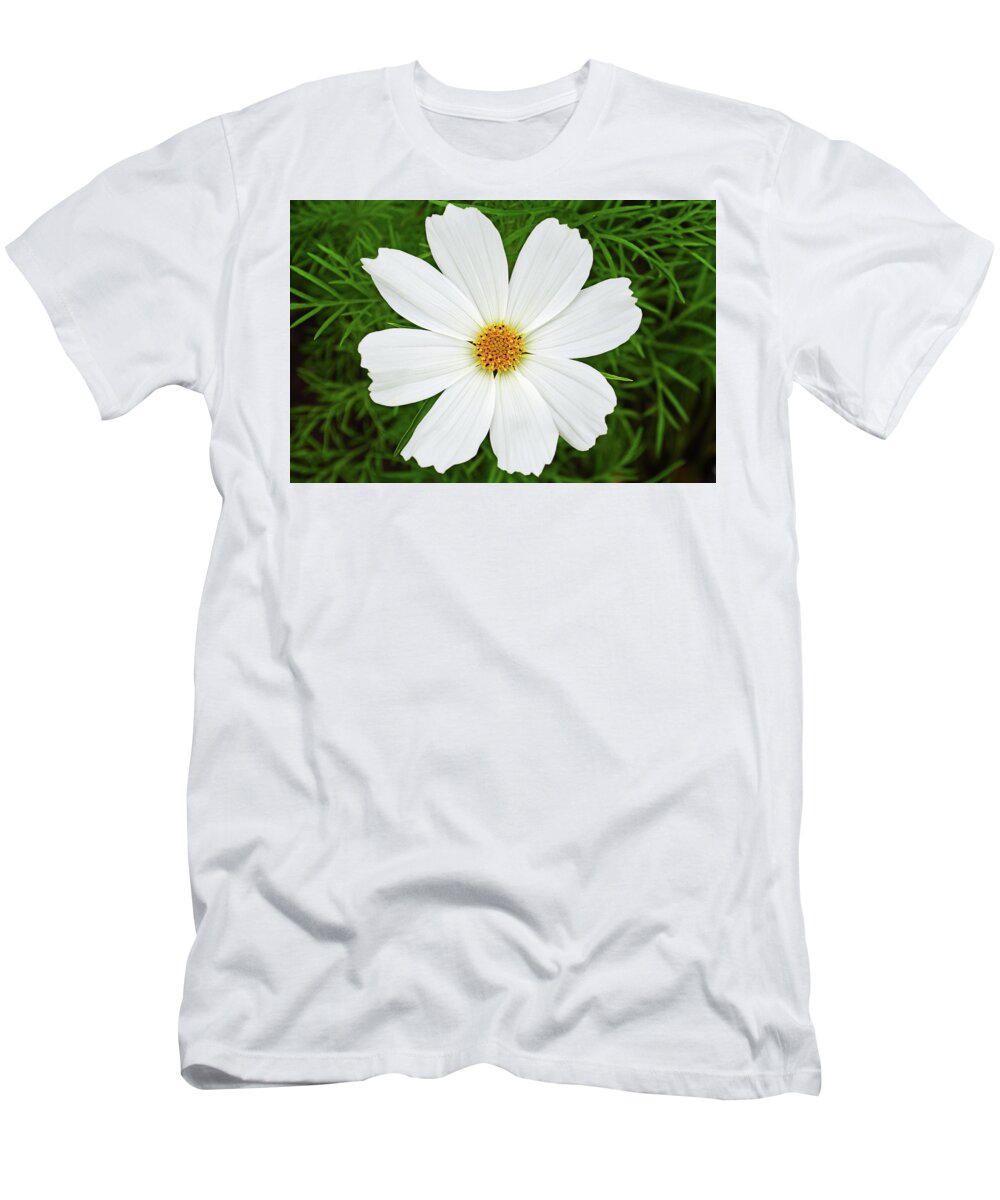 Cosmos Flower T-Shirt featuring the photograph Cosmos White by Terence Davis