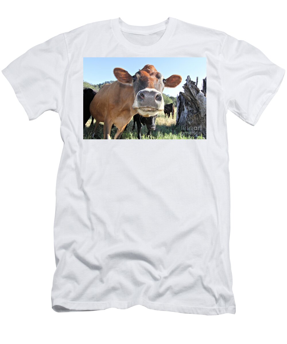 Cow T-Shirt featuring the photograph Cow by Vivian Krug Cotton