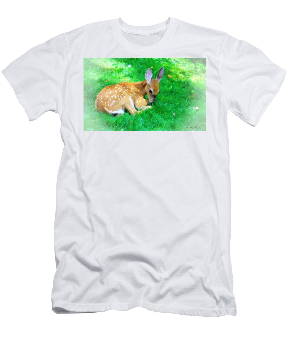 Nature Wildlife Fawn T-Shirt featuring the photograph Cozy Fawn by Mary Walchuck