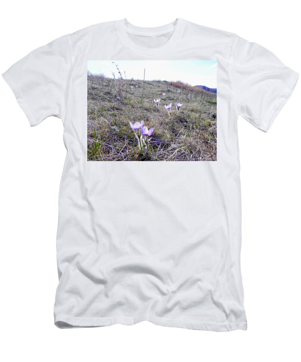 Crocus T-Shirt featuring the photograph Crocuses by Amanda R Wright