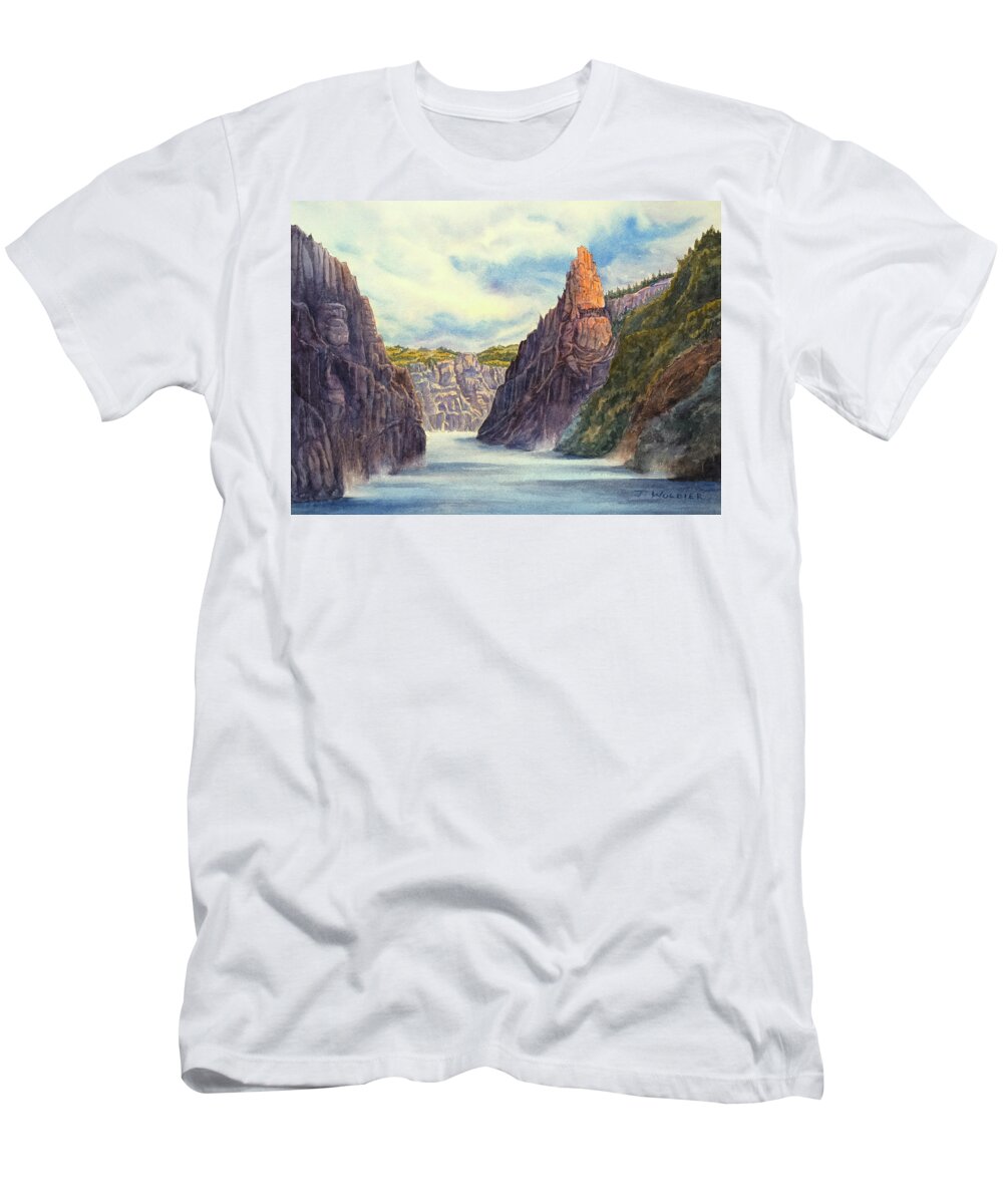 Artist T-Shirt featuring the mixed media Curecanti Needle by Joan Wolbier