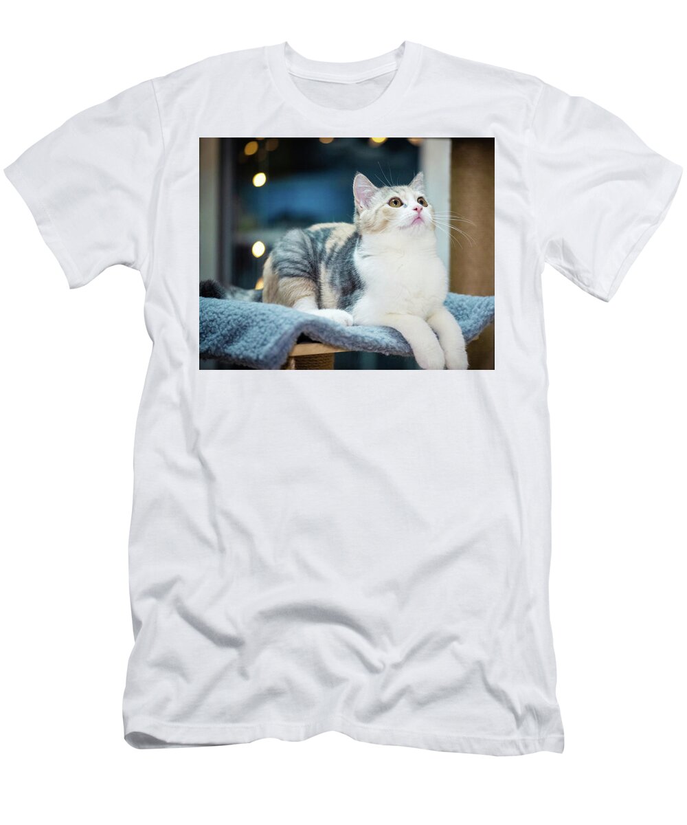 Cute Cat T-Shirt featuring the photograph Cute cat by Top Wallpapers