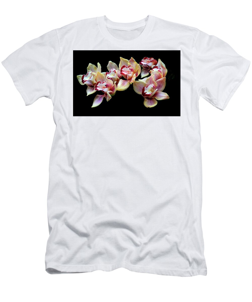 Orchids T-Shirt featuring the photograph Cymbidium Delight by Jessica Jenney