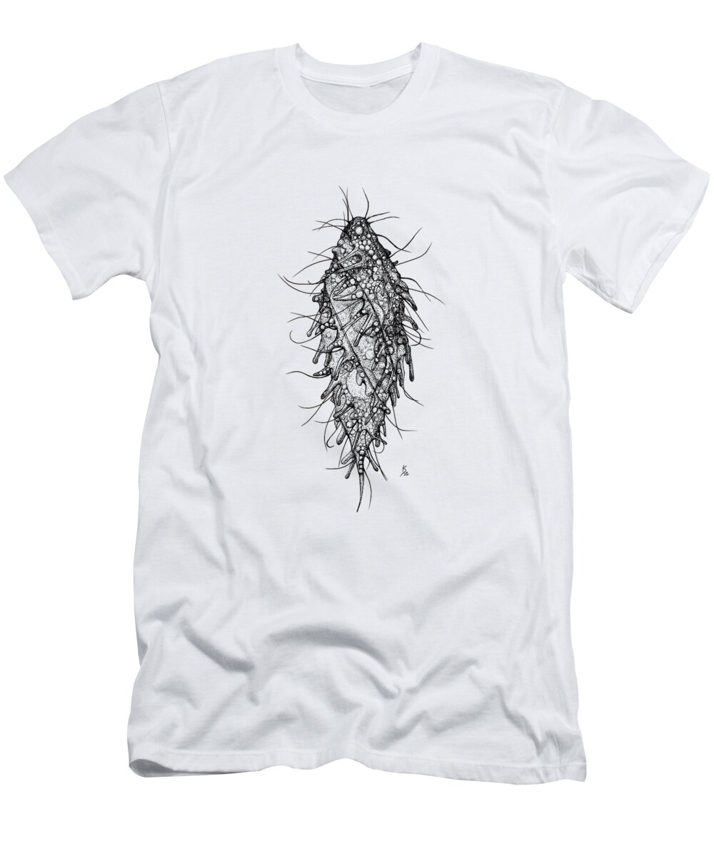 Ciliate T-Shirt featuring the drawing Dactylochlamys pisciformis by Katelyn Solbakk