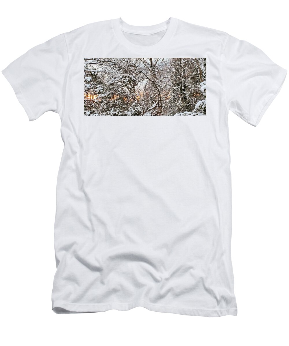 Winter Trees T-Shirt featuring the photograph Dawn Breaks through Freshly Snow Covered Trees by Stacie Siemsen