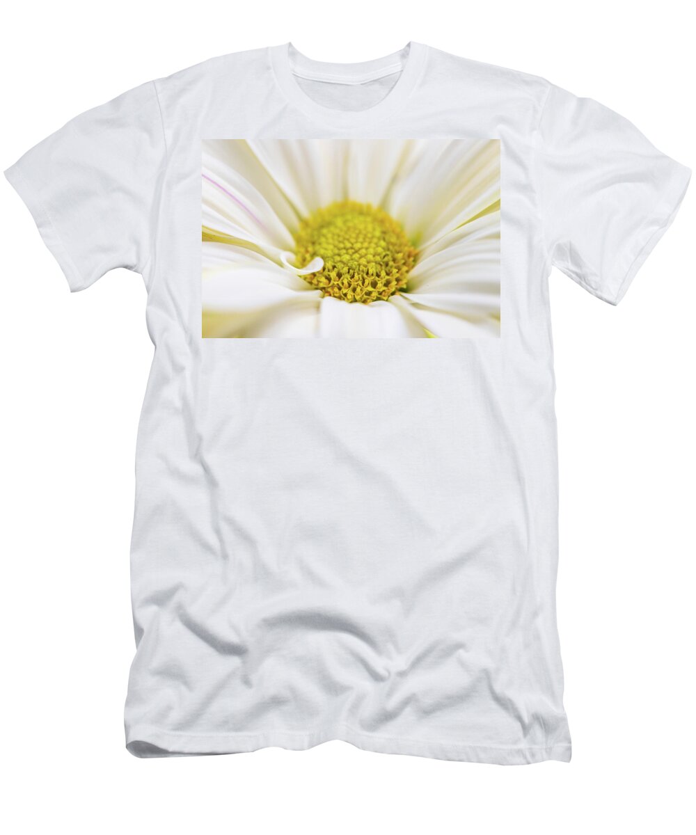 Flowers T-Shirt featuring the photograph Daisy - Macro Flower Photography by Amelia Pearn
