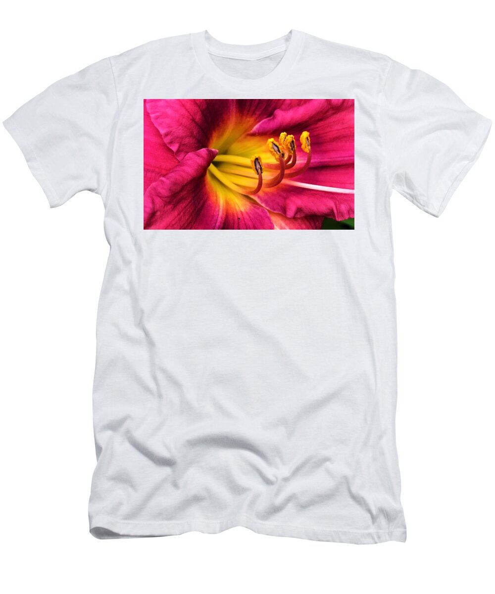 Flora T-Shirt featuring the photograph Deep Pink Daylily by Bruce Bley