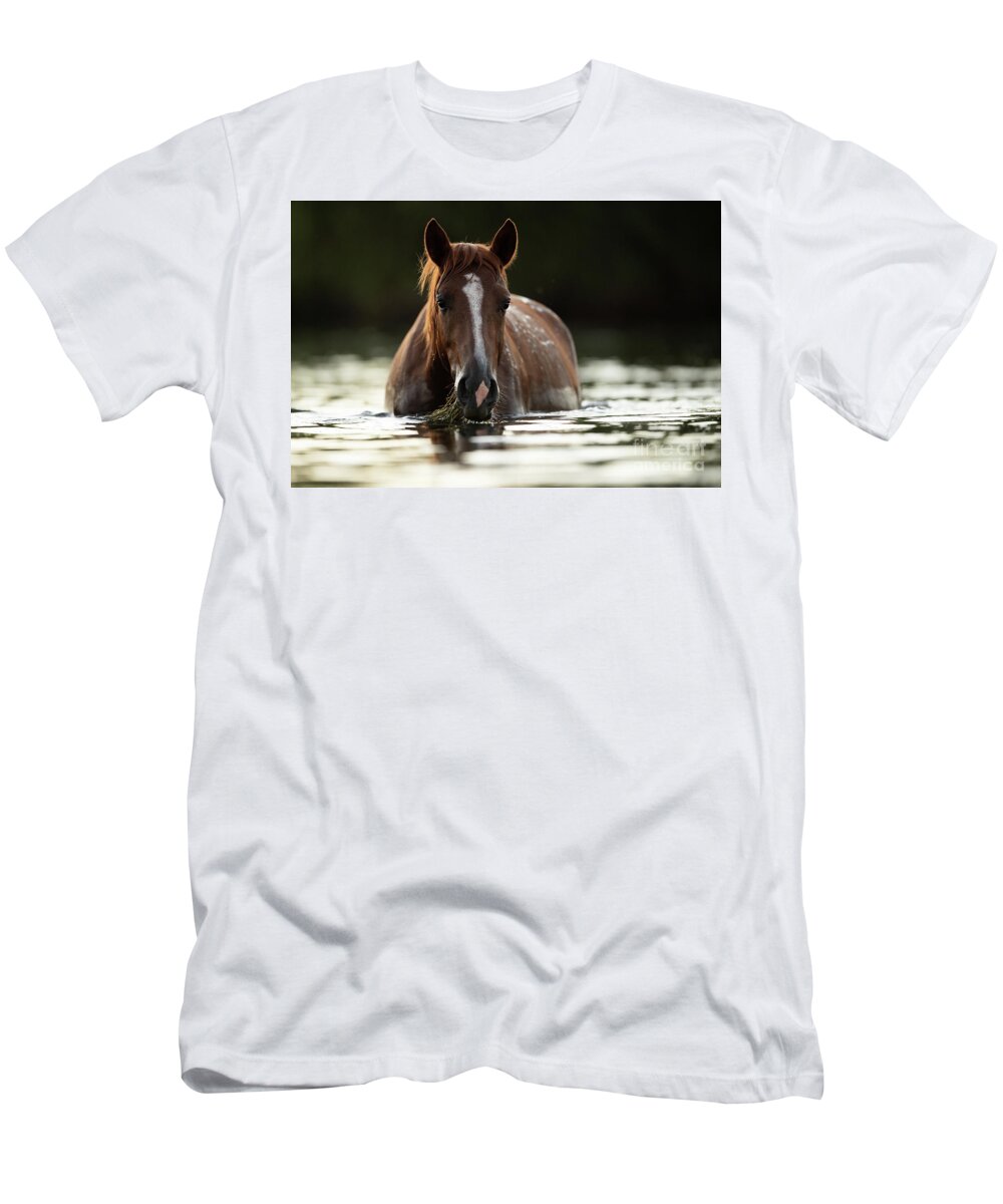 Salt River Wild Horses T-Shirt featuring the photograph Dinner Time by Shannon Hastings
