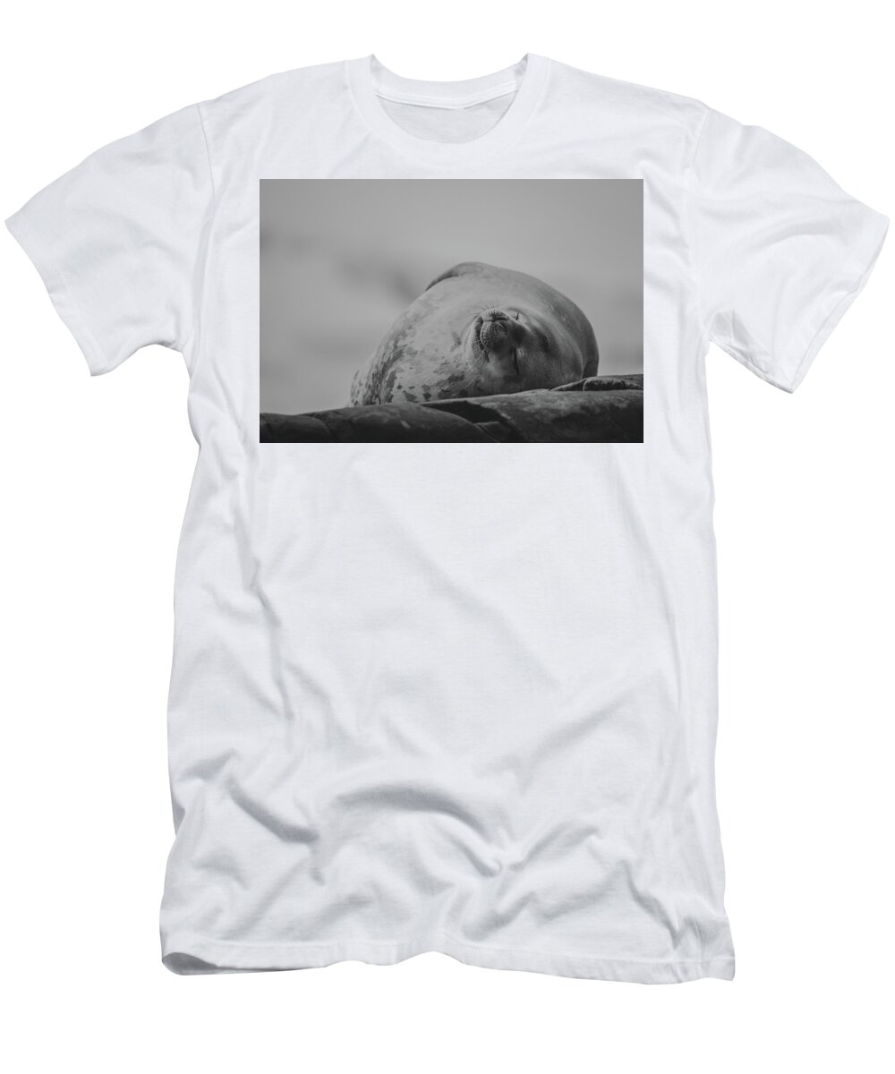 03feb20 T-Shirt featuring the photograph Do Not Awaken - Makes Me Crabby BW by Jeff at JSJ Photography