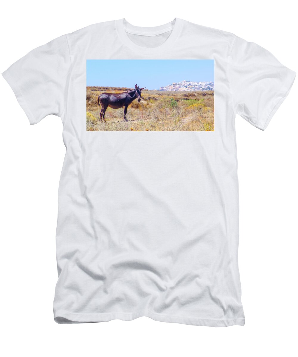 Santorini T-Shirt featuring the photograph Donkey in Santorini by David Morehead