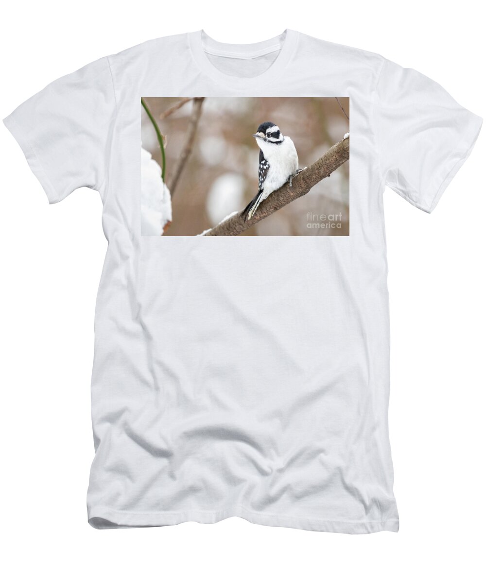 Downy Woodpecker T-Shirt featuring the photograph Downy in the Snow I by Alyssa Tumale