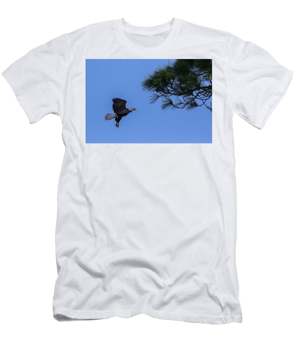  T-Shirt featuring the photograph Eagle 2020-8 by Les Greenwood
