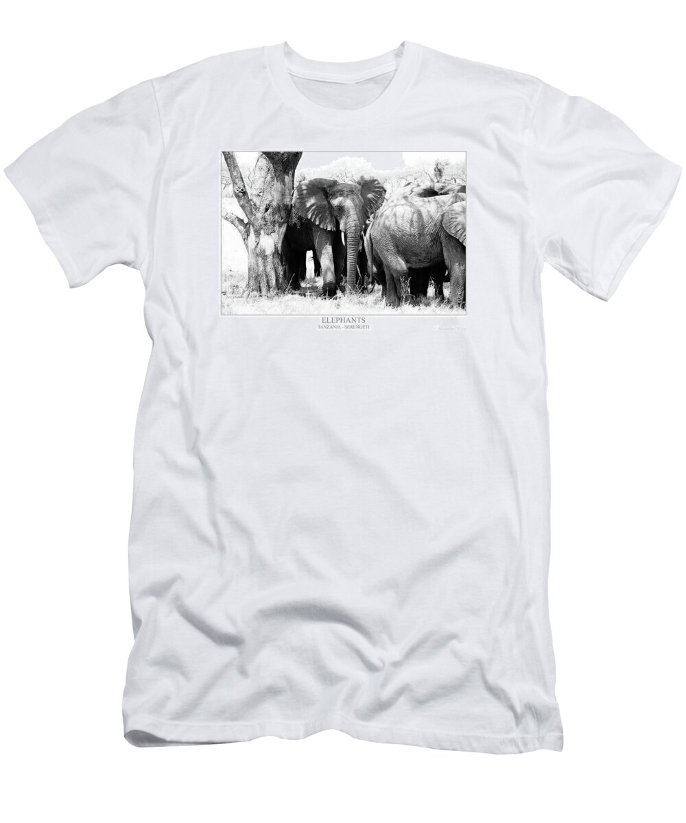 Alessandro Pezzo T-Shirt featuring the photograph Elephants by Alessandro Pezzo