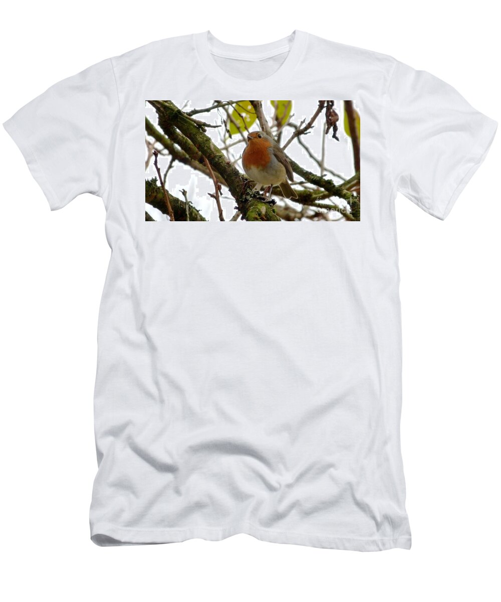 Bird T-Shirt featuring the photograph European Robin At Autumn-time by Christopher Gill