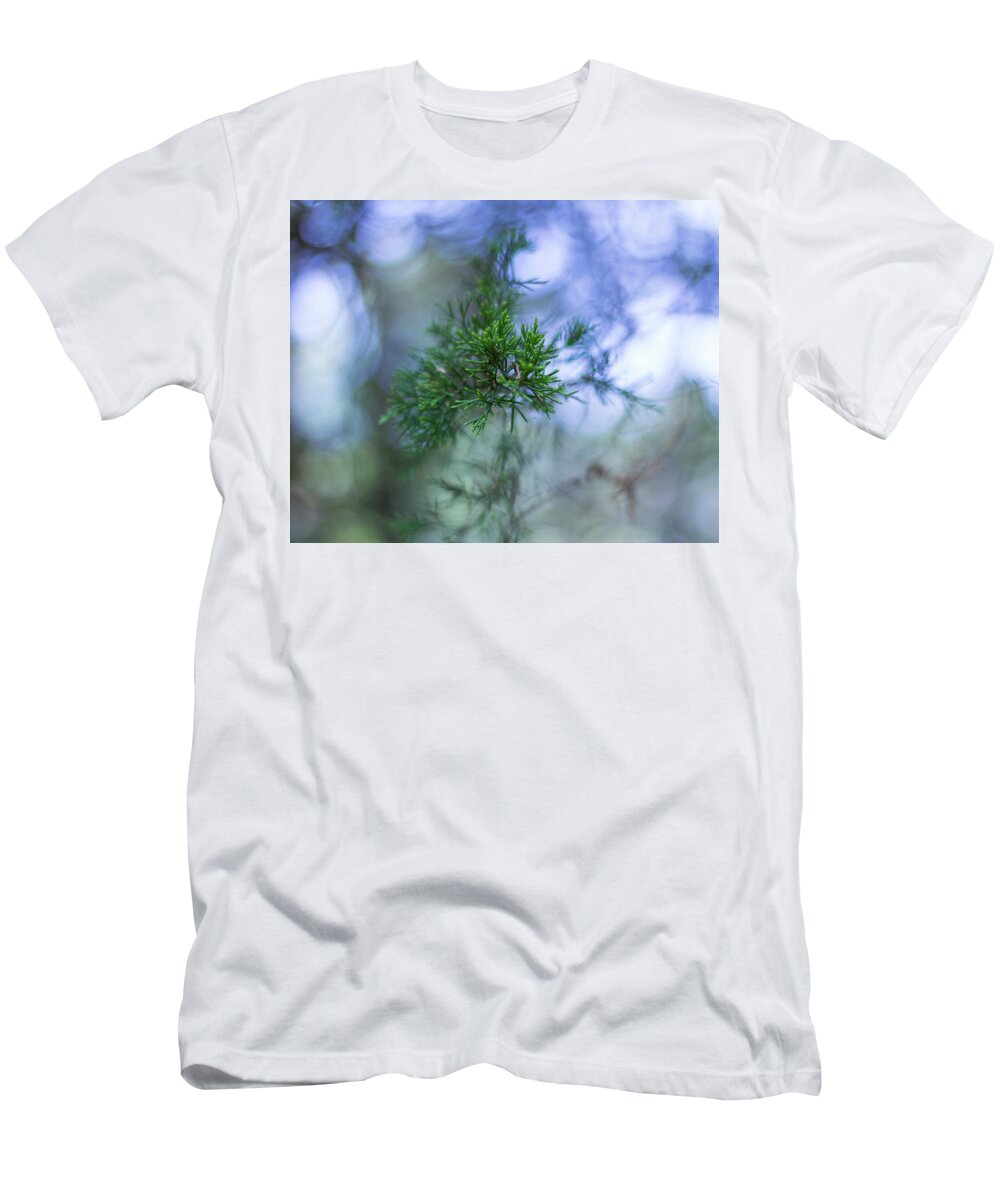 Tree T-Shirt featuring the photograph Evergreen by David Beechum