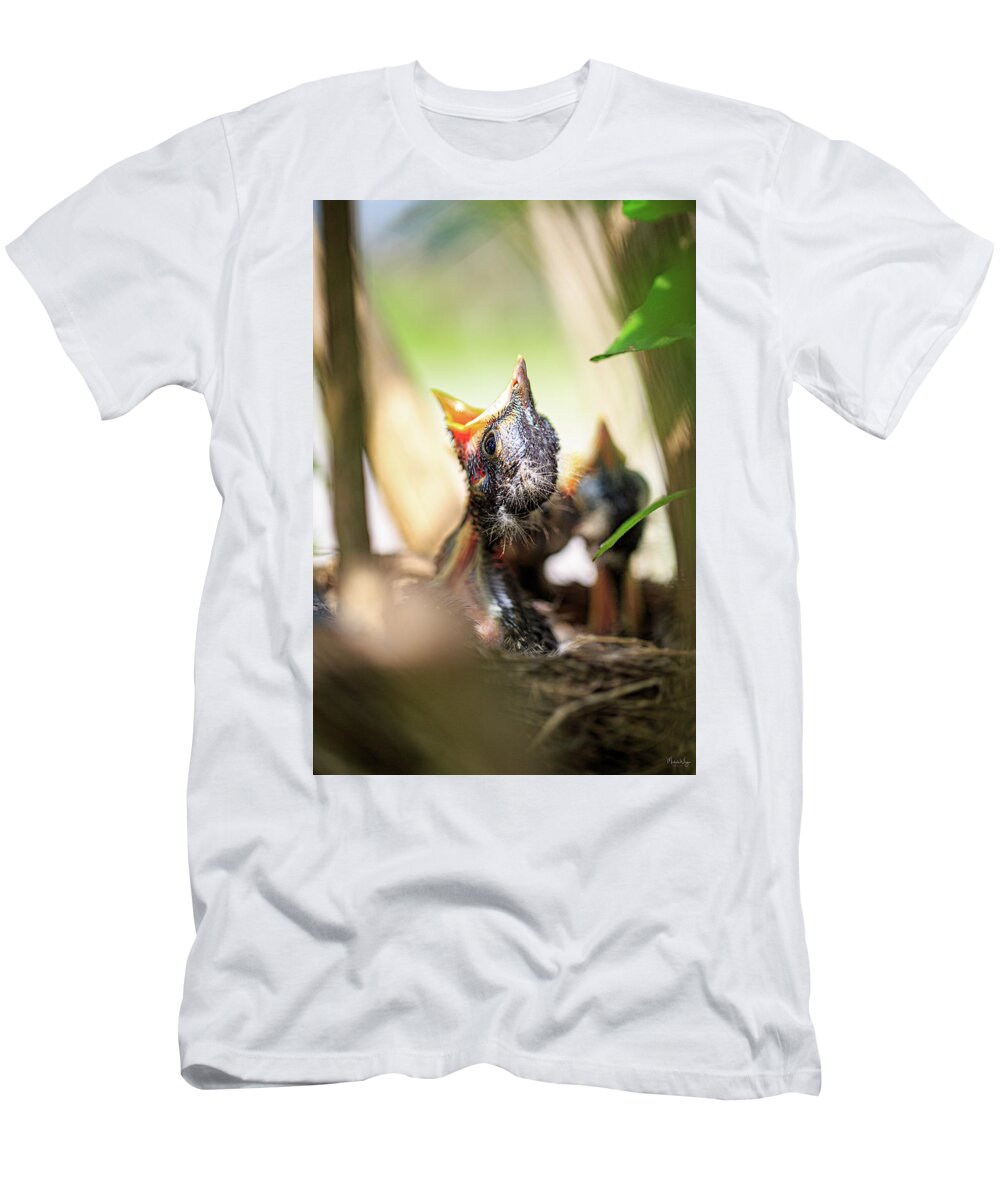  T-Shirt featuring the photograph Feeding Time by Michele Wingo