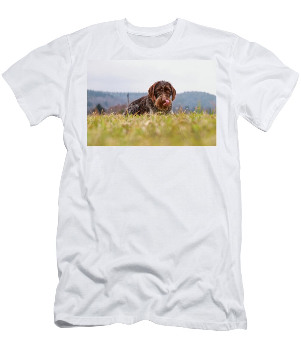 Bohemian Wire T-Shirt featuring the photograph Female dog is laughing his head off. Bohemian wire dog is scratching her muzzle. Itchiness is evil. by Vaclav Sonnek