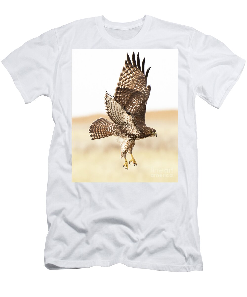 Bird T-Shirt featuring the photograph Final onto the Prey by Dennis Hammer