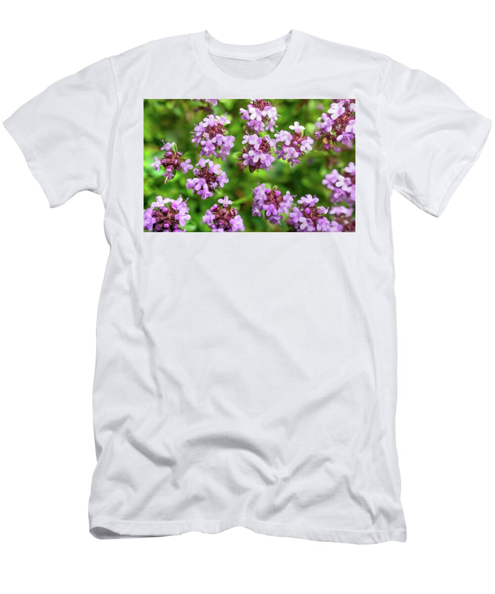 Thyme T-Shirt featuring the photograph Floating Thyme by Weston Westmoreland