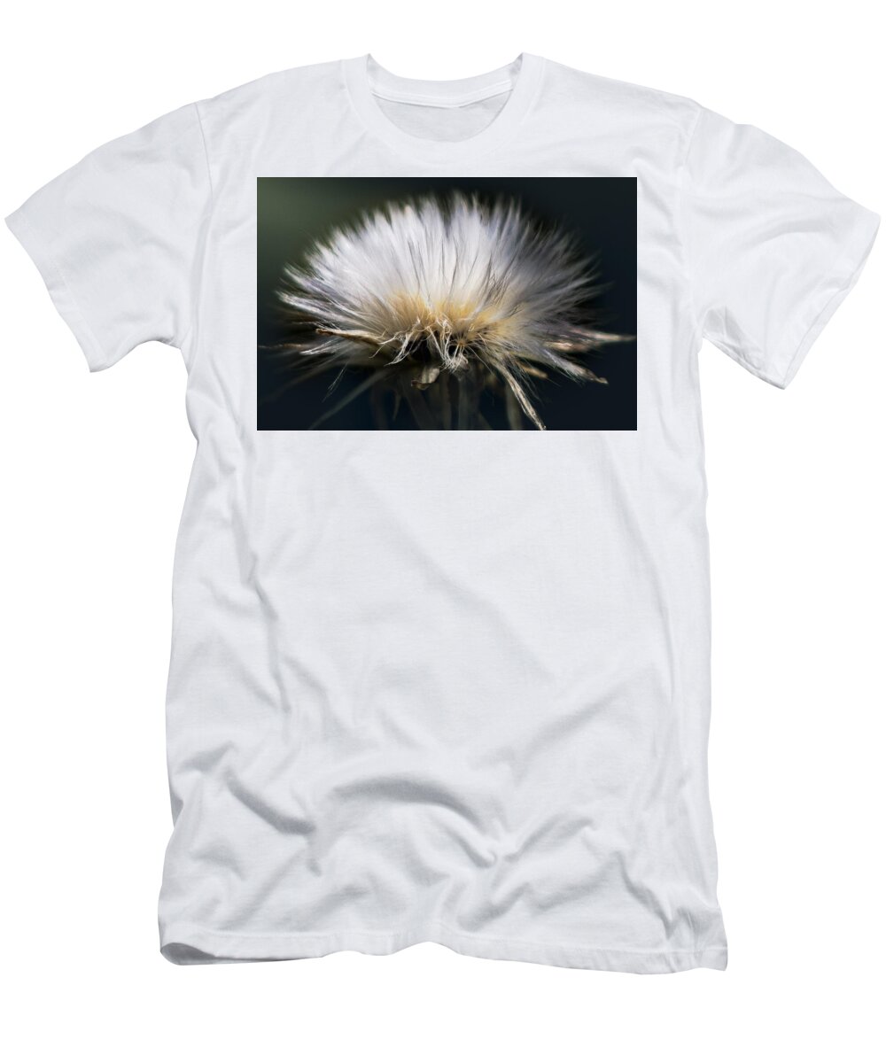 Dandelion T-Shirt featuring the photograph Fluffy Dandelion by Carrie Hannigan