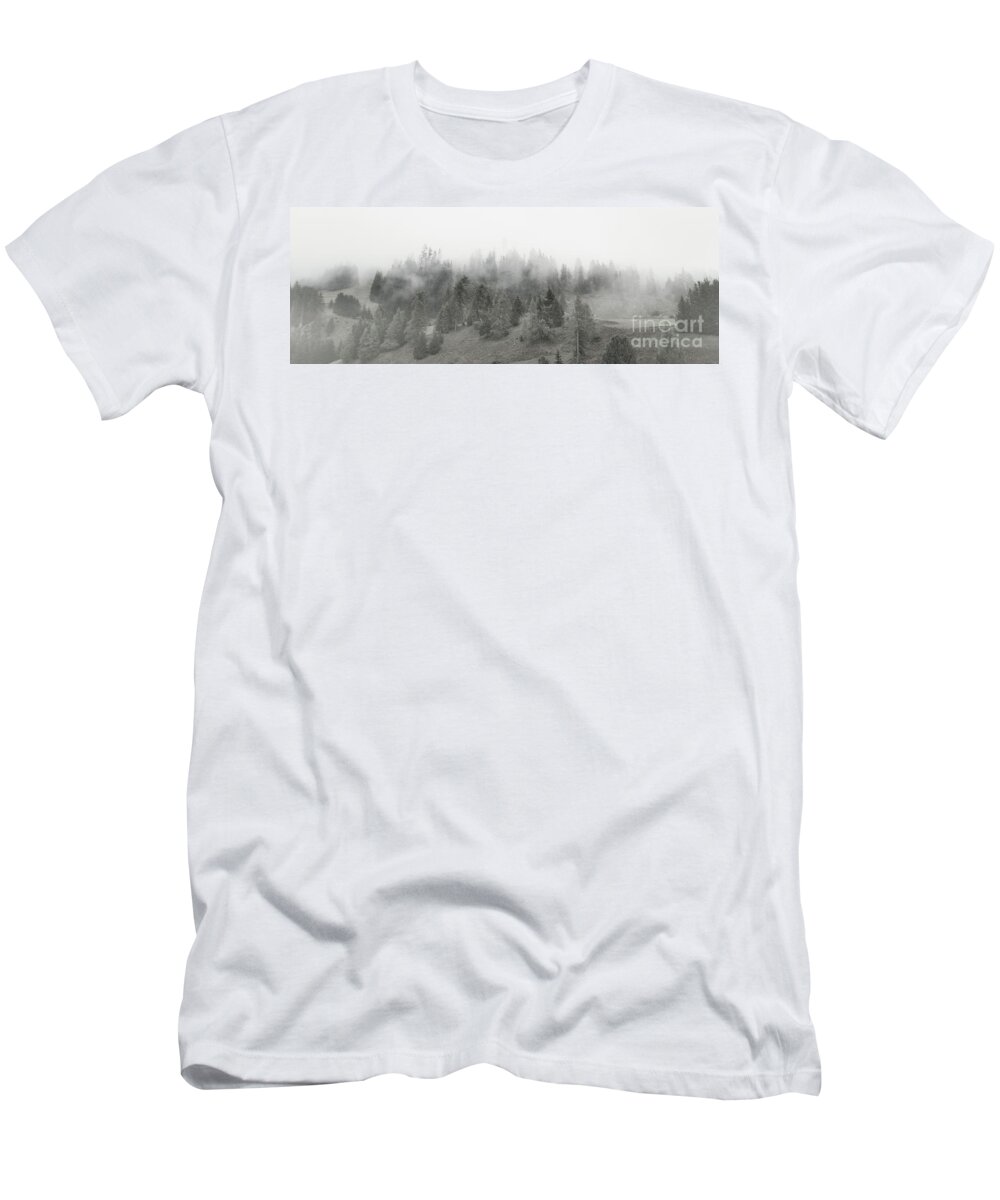 Trees T-Shirt featuring the photograph Foggy Forest Panorama by Thomas Nay