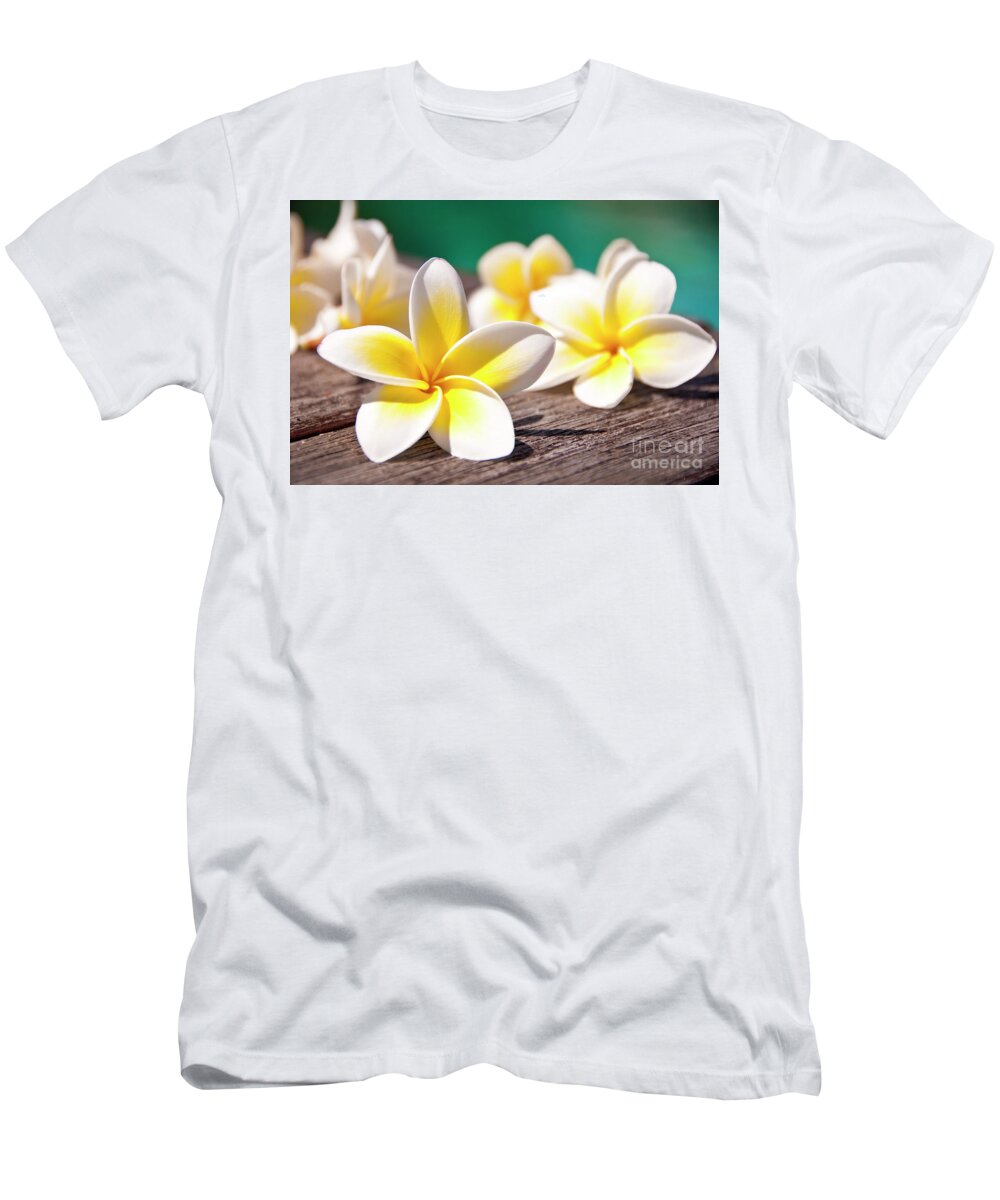 Plumeria T-Shirt featuring the photograph Frangipani flower at the poolside by Delphimages Photo Creations