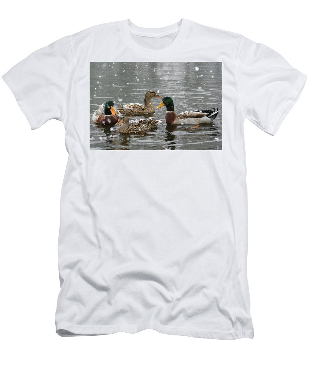 North America T-Shirt featuring the photograph Gathering by Melissa Southern