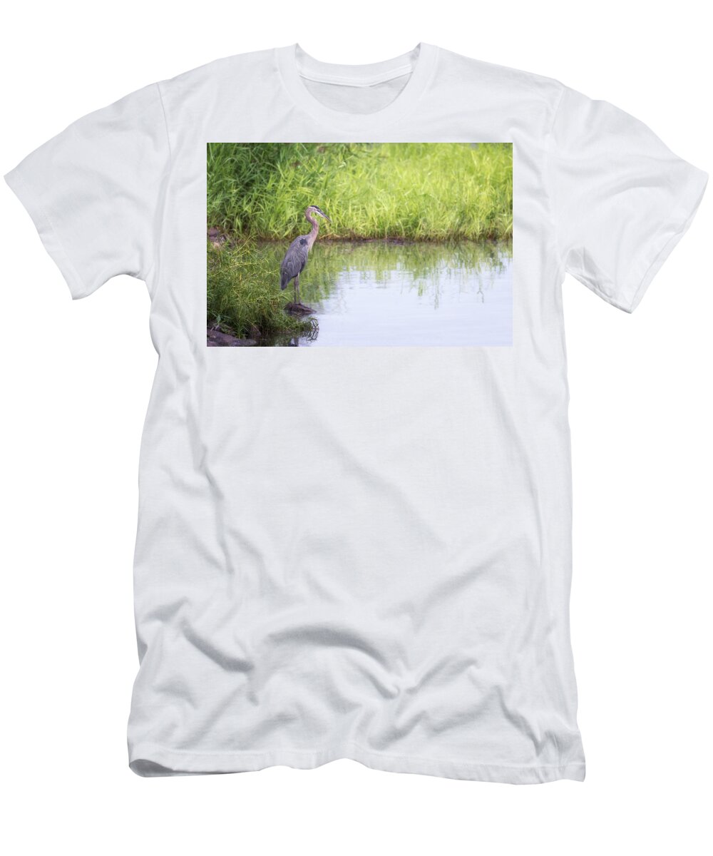 Great Blue Heron T-Shirt featuring the photograph Great Blue Heron in Profile by Susan Rissi Tregoning