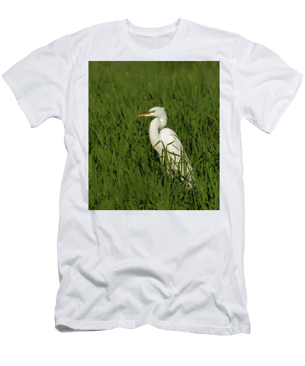 Great Egret T-Shirt featuring the photograph Great Egret 2014-19 by Thomas Young