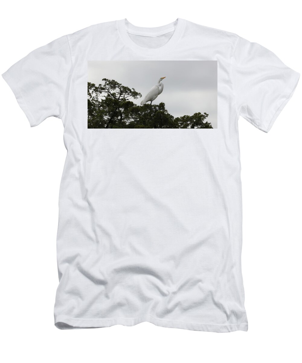 Great Egret T-Shirt featuring the photograph Great Egret Balanced by Doolittle Photography and Art