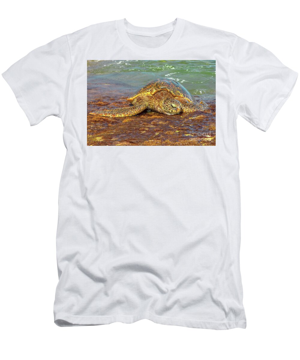Green Sea Turtle T-Shirt featuring the photograph Green Sea Turtle Hawaii by Benny Marty