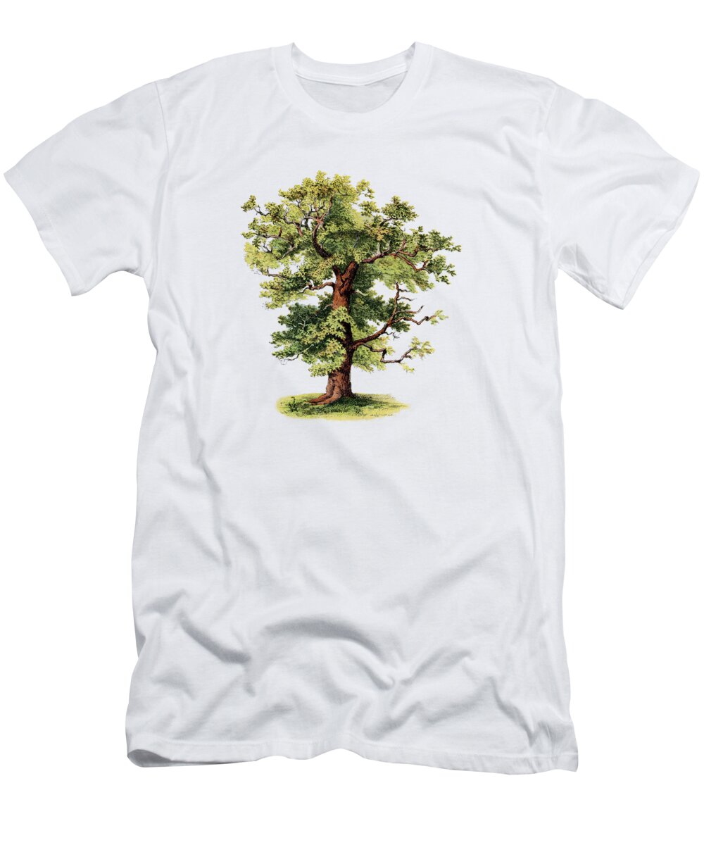 Oak T-Shirt featuring the digital art Green Strength by Madame Memento