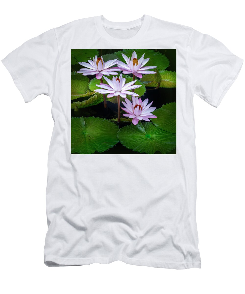 Floral T-Shirt featuring the photograph Hanging out with each other. by Usha Peddamatham