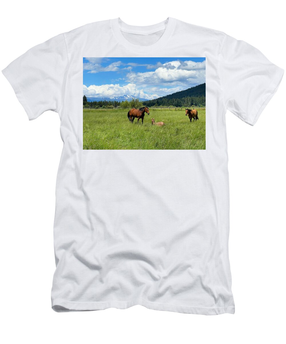 Horse T-Shirt featuring the photograph Happy Horses by Brian Eberly