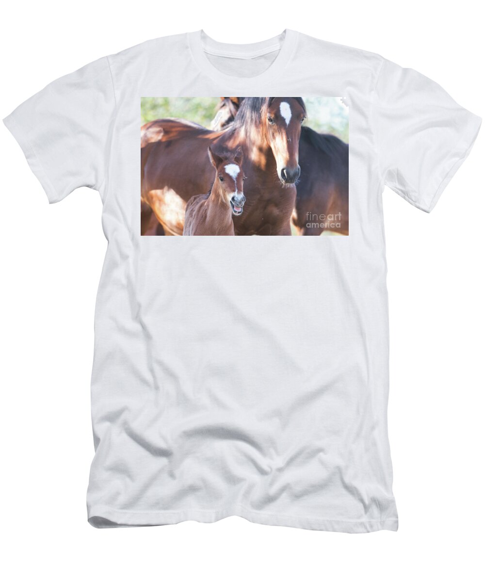 Foal T-Shirt featuring the photograph Happy by Shannon Hastings