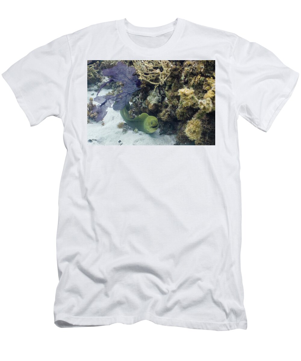 Animals T-Shirt featuring the photograph Happy to Meet You by Lynne Browne