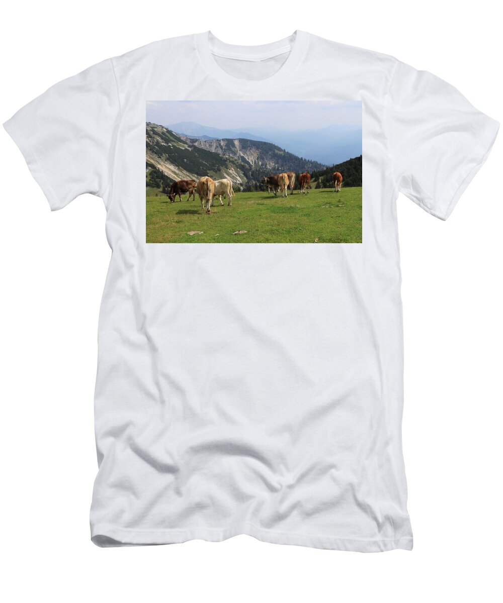 Hochkar T-Shirt featuring the photograph Herd of Pinzgauer cattle grazes on the Hochkar mountain with an incredible and soothing view of the rest of the Austrian Alps. Organic product, the freshest and highest quality milk. by Vaclav Sonnek