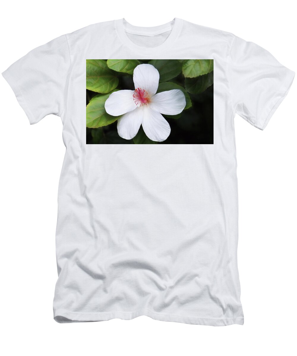 Flower T-Shirt featuring the photograph Hibiscus 54 by Dawn Eshelman