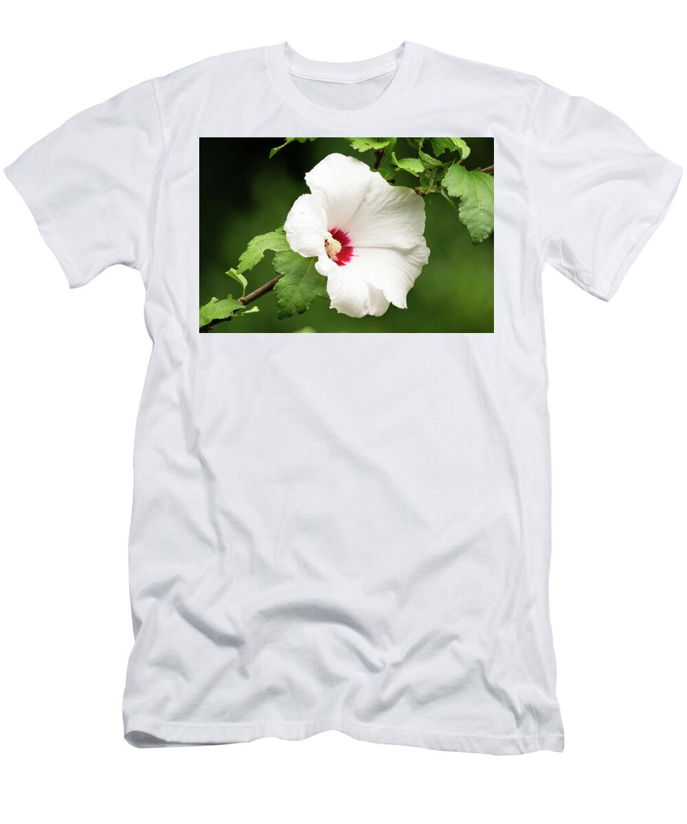 Flower T-Shirt featuring the photograph Hibiscus by Grant Twiss