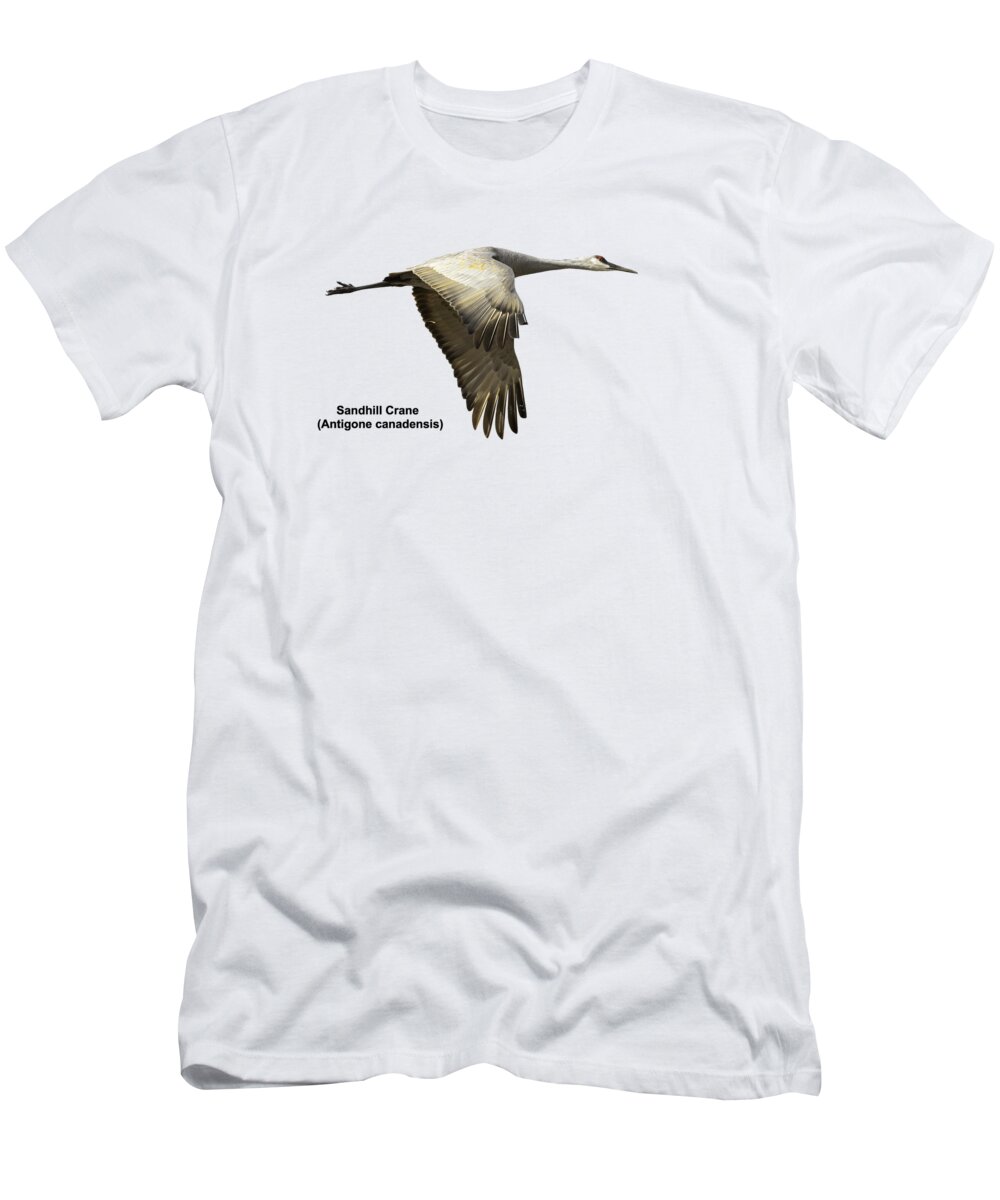 Sandhill Crane T-Shirt featuring the photograph Isolated Sandhill Crane 2-2021 by Thomas Young