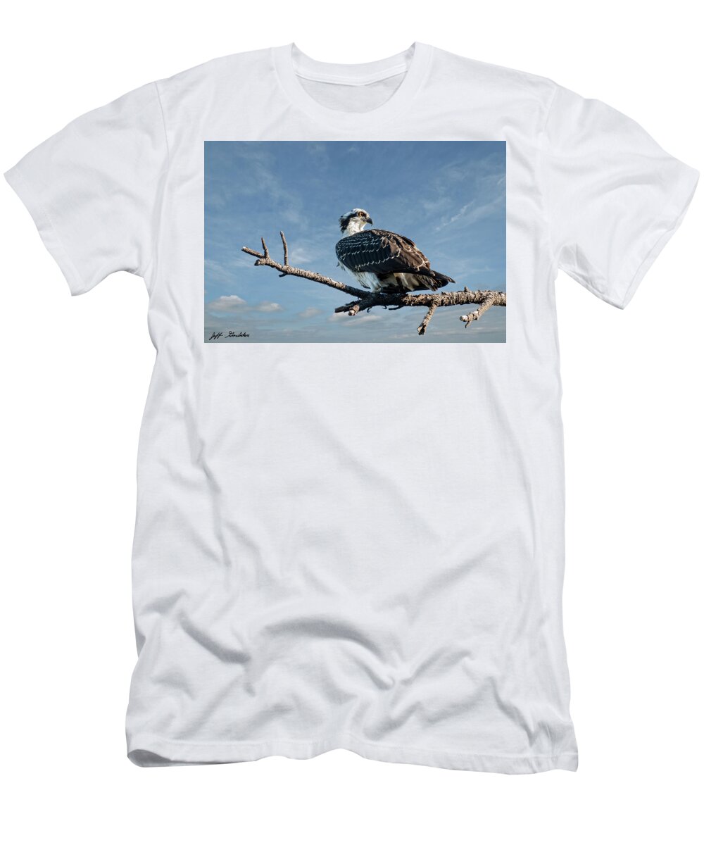 Animal T-Shirt featuring the photograph Juvenile Osprey Perched in a Tree by Jeff Goulden