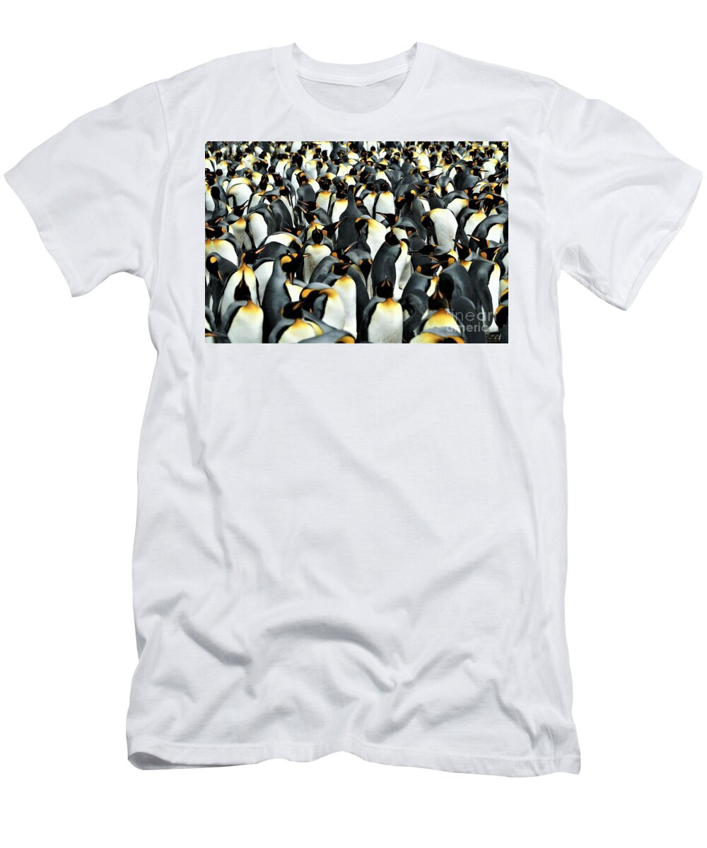 Penguins T-Shirt featuring the photograph Kings of the Falklands by Darcy Dietrich