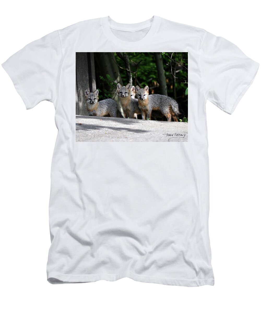 Kit Fox T-Shirt featuring the photograph Kit Fox9 by Torie Tiffany