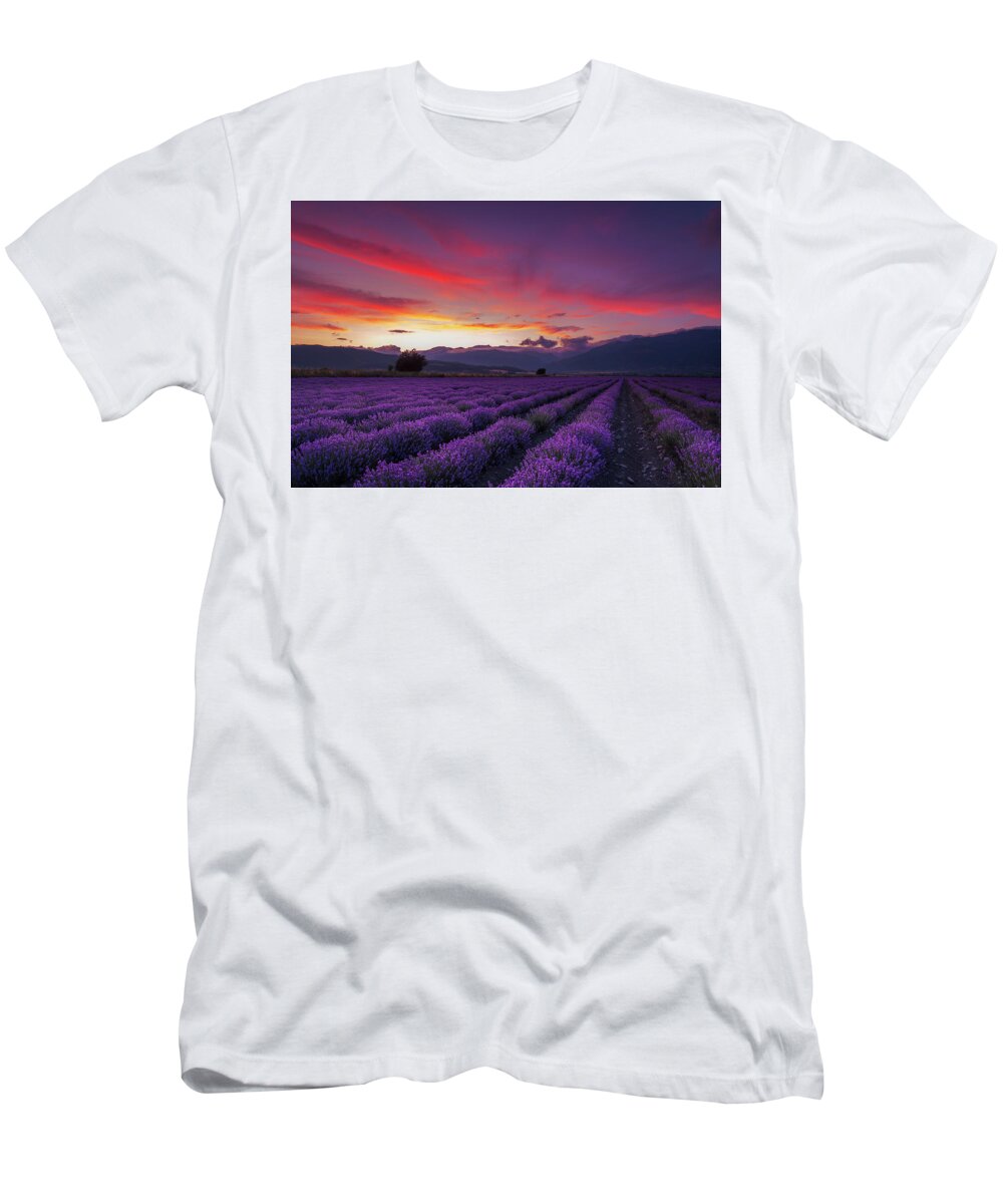 Dusk T-Shirt featuring the photograph Lavender Season by Evgeni Dinev