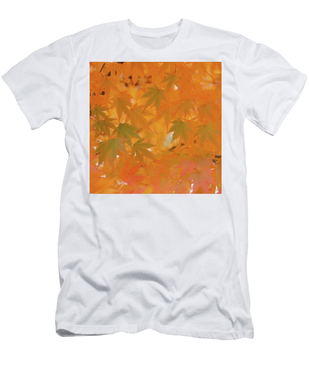 Landscape T-Shirt featuring the photograph Live and Become by Karine GADRE