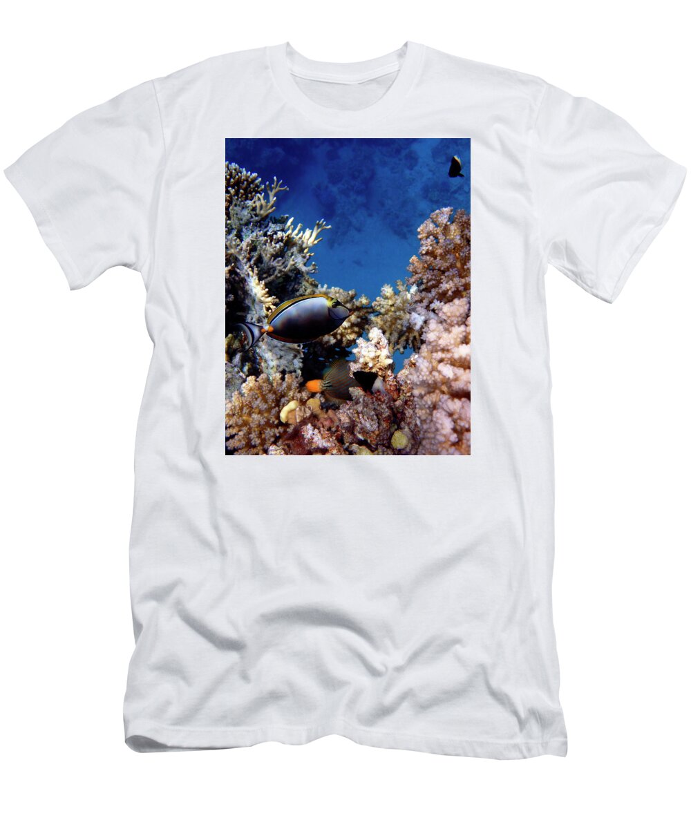 Fish T-Shirt featuring the photograph Magnificent Red Sea World by Johanna Hurmerinta