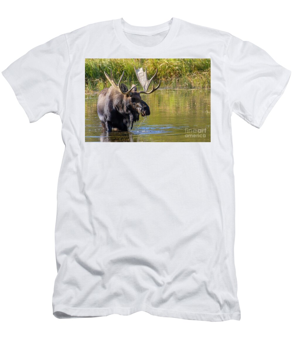 Wildlife T-Shirt featuring the photograph Massive Bull Moose by Steven Krull