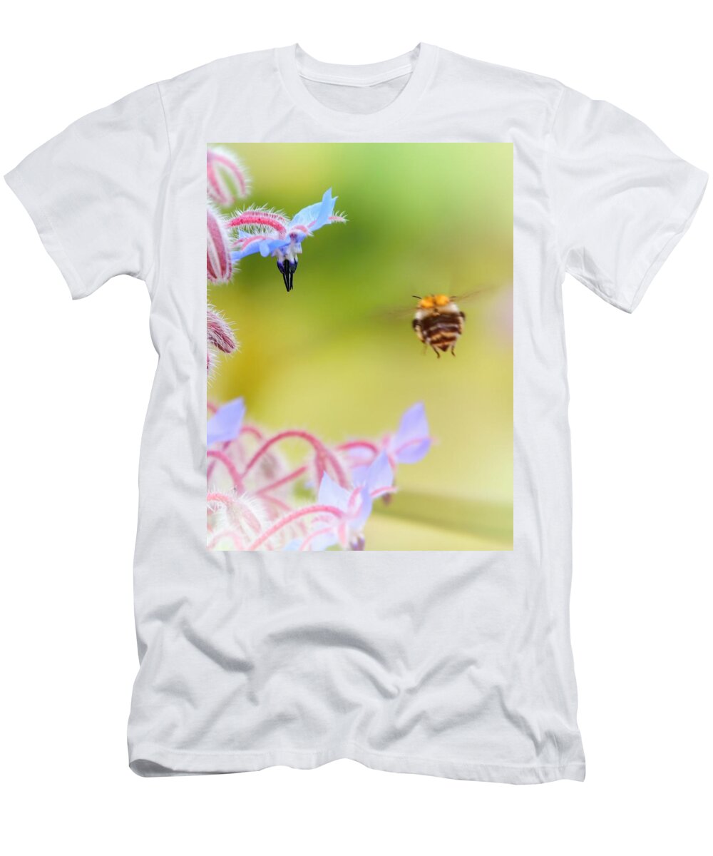Bumblebee T-Shirt featuring the photograph Meadow life 29 by Jaroslav Buna