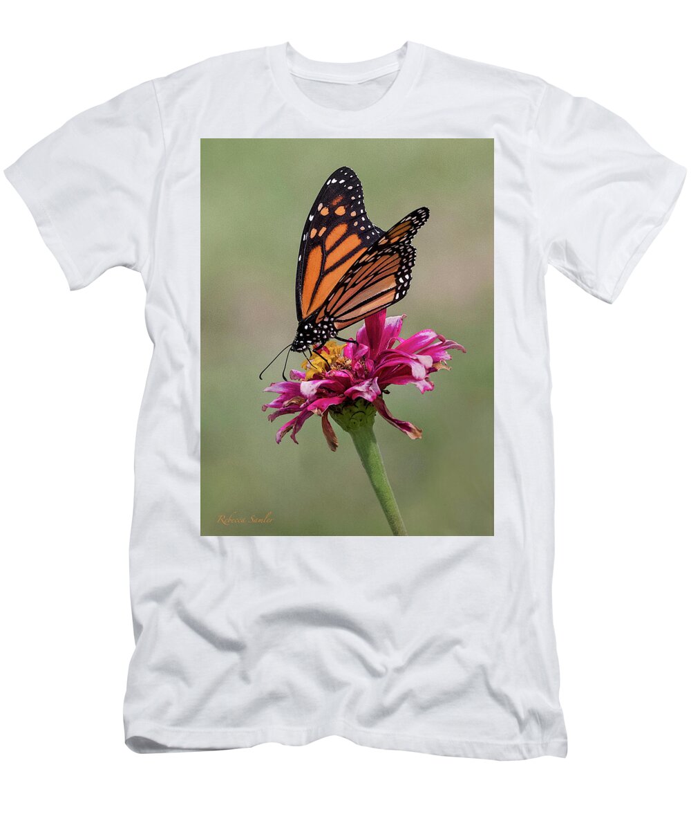 Monarch T-Shirt featuring the photograph Monarch by Rebecca Samler